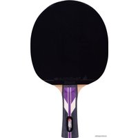 Ракетка для настольного тенниса Roxel Stellar
