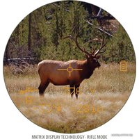 Бинокль Bushnell FUSION 1 MILE ARC 10*42 (202310)