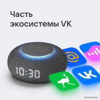 Умная колонка VK Капсула Мини (темно-серый)