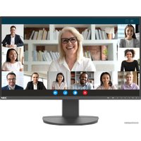 Монитор NEC MultiSync EA242F (черный)