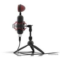 Проводной микрофон Ritmix RDM-230 USB Eloquence