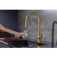 Смеситель Paulmark Iniversal Un213880-BG (золото/брашированное золото)