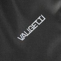 Чемодан-спиннер VALIGETTI 340-1602/5-20GLD (золотой)