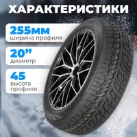 Зимние шины Autogreen Snow Chaser AW02 255/45R20 105T