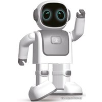 Робот Topjoy Robert RS01