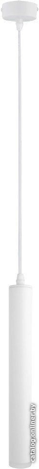 Светильник Arte Lamp Hubble Pendant A6810SP-1WH