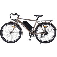 Электровелосипед MyWay Let 1.0 250 26 Pro (титан матовый)