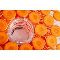 Сушилка для овощей и фруктов Eldom SG300