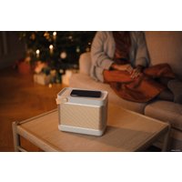 Беспроводная колонка Bang & Olufsen Beolit 20 (серый)