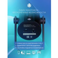 Проводной микрофон IO by Red Square Mike SE (черный)