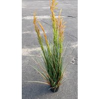 Искусственное растение Merry Bear Home Decor Микс трава-мятлик луговой KD3403-119-22