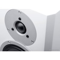 Напольная акустика Dynaudio Excite X38