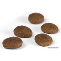 Сухой корм для собак Josera Festival 0.9 кг