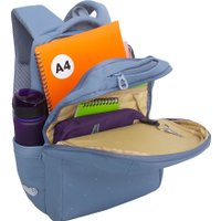 Школьный рюкзак Grizzly RG-666-3 (голубой)