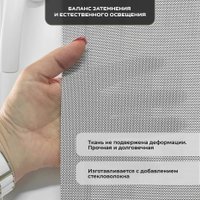 Рулонные шторы Sundays Home Санскрин SS 1300-03 61х215 (серый)