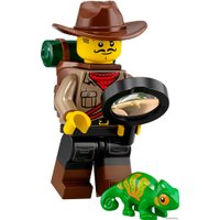 Конструктор LEGO Minifigures 71025 Серия 19