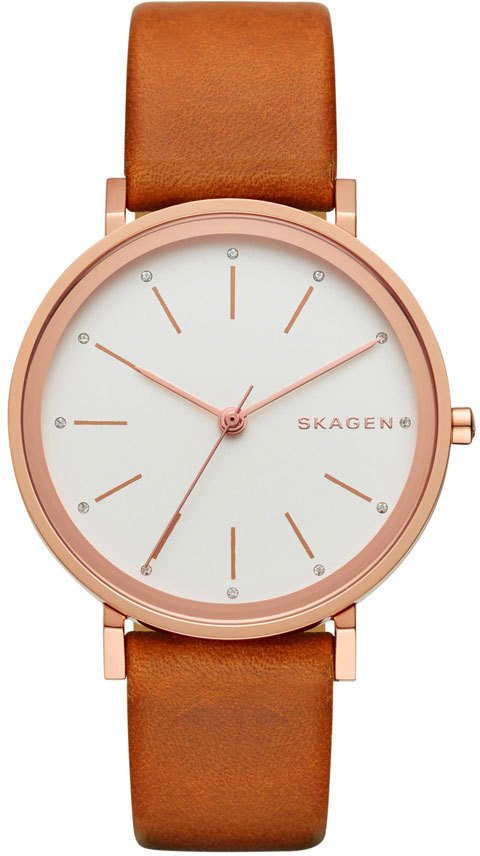 

Наручные часы Skagen SKW2488