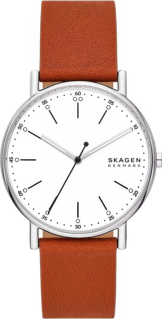 

Наручные часы Skagen SKW6903