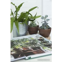 Книга издательства МИФ. Urban Jungle. Как создать уютный интерьер с помощью растений