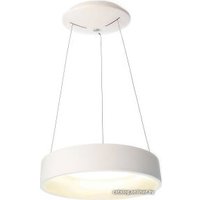 Подвесная люстра Deko-Light Sculptoris 342122