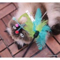 Игрушка для кошек Duvo Plus Удочка с перьями 1717032/DV