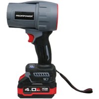  Profipower ProfiSet-2D20 (воздуходувка, цепная пила, 2 АКБ)