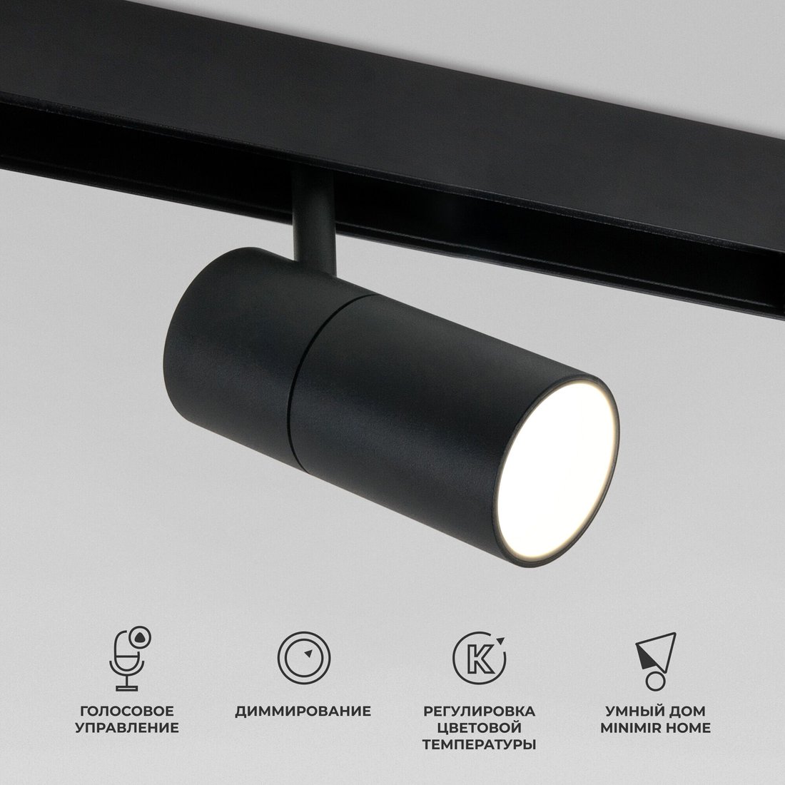 

Трековый светильник Elektrostandard Dim R02 85075/01 12W 2700-6500K (черный)