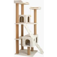 Комплекс КотоЛэнд Чикаго (молочный)