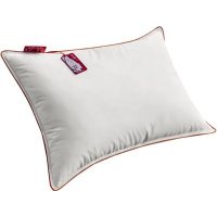 Спальная подушка Espera Classic Dewspo ЕС-5751 (50x70)