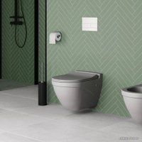 Сиденье для унитаза Ambassador Nord 132T20301S (серый матовый)