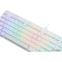 Клавиатура Redragon Anubis (белый)