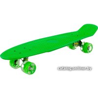 Пенниборд Полесье 89366 66 см (зеленый)