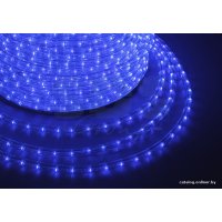 Дюралайт Neon-Night Дюралайт светодиодный [121-123-6]