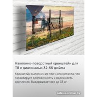 Кронштейн для телевизора MAUNFELD MTM-3255FMDS