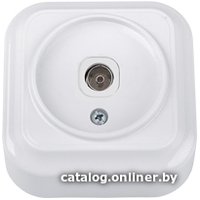Розетка телевизионная Bylectrica Вариант ТР-5141 (белый)