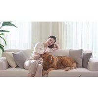 Пылесос для удаления пылевых клещей Jimmy BX7 Pro (синий)