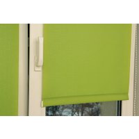 Мини рулонные шторы Delfa Сантайм Лен СРШ-01 МЭД2653 (52x160, светло-зеленый)