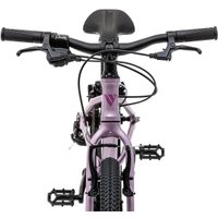 Детский велосипед Welt Moovix 2.0 20 VB 2026 (amazing pink)