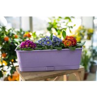 Вазон 5 Plast Прованс Балконный ящик (6 л, лавандовый, с подставкой)
