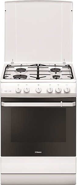 

Кухонная плита Hansa FCGW621109