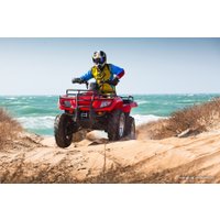 Квадроцикл Stels ATV 400 Hunter