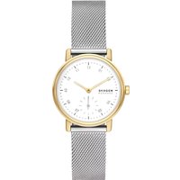 Наручные часы Skagen SKW3101