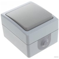 Выключатель TDM Electric Вуокса SQ1803-0003