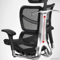 Офисное кресло Ergostyle Fly T-01 HFYM01 (черный) в Бобруйске