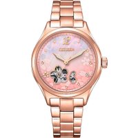 Наручные часы Citizen PC1017-88Y