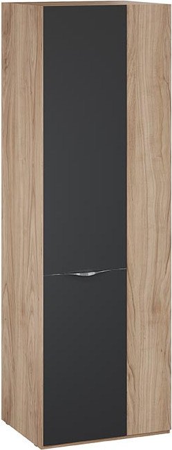 

Шкаф распашной Трия Глосс 580 СМ-319.07.006 (яблоня беллуно/cтекло графит матовый)