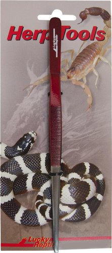 Lucky Reptile прямой PG-20