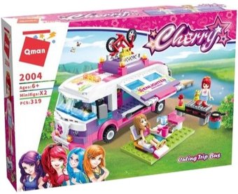 Qman 2004 Cherry-пикник