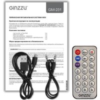Беспроводная колонка Ginzzu GM-231