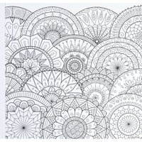 Книга издательства Проф-Пресс Раскраска-перевертыш. В цветочной феерии